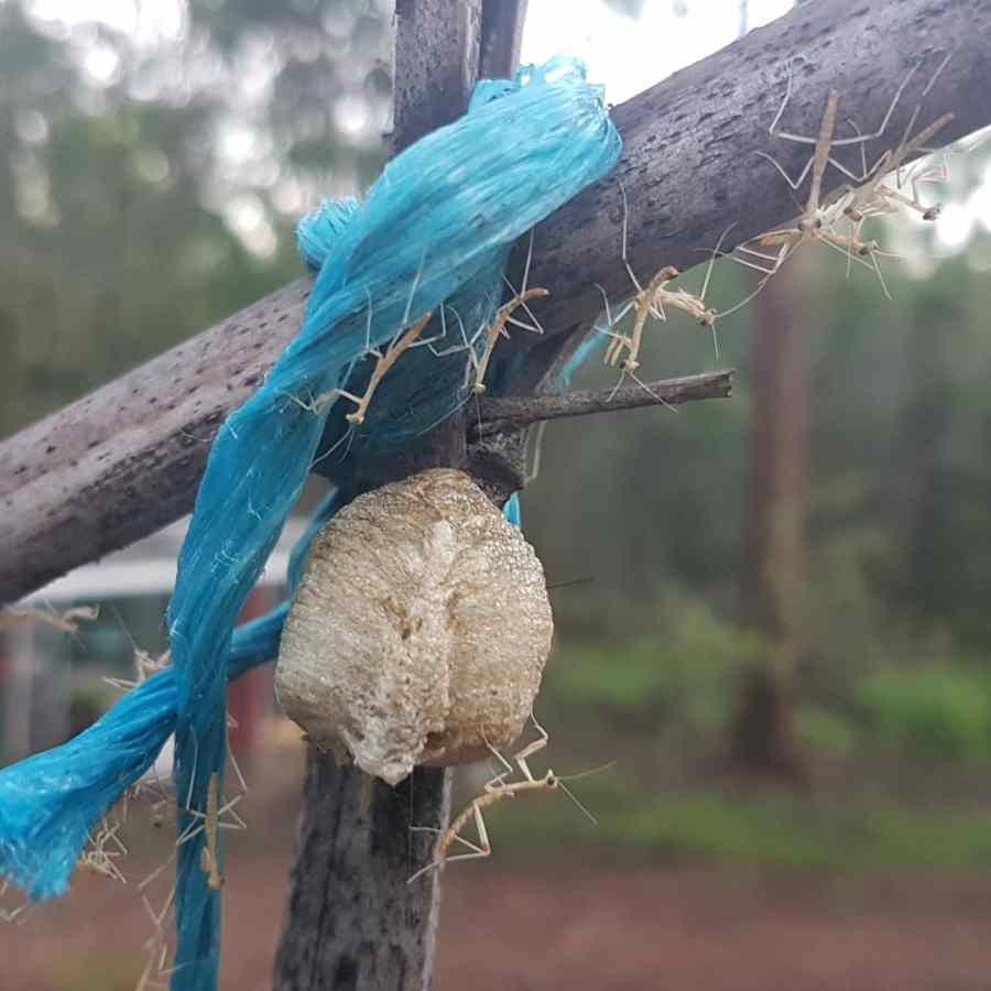 “Build it and they will&nbsp;come”