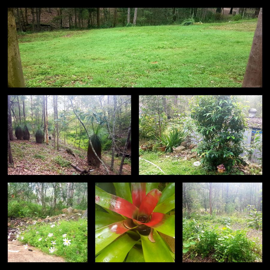 How I grow my Garden&nbsp;Rooms