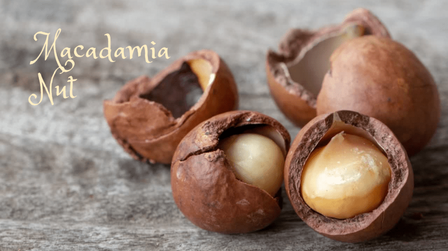 From Ancient delicacy to Modern&nbsp;superfood.