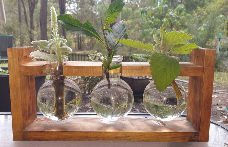 Propagation Station, All Aboard!