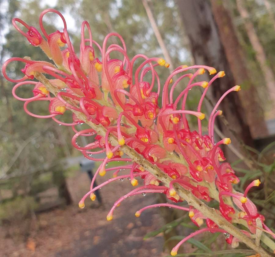 A Week of Joy in Nature and my&nbsp;Children