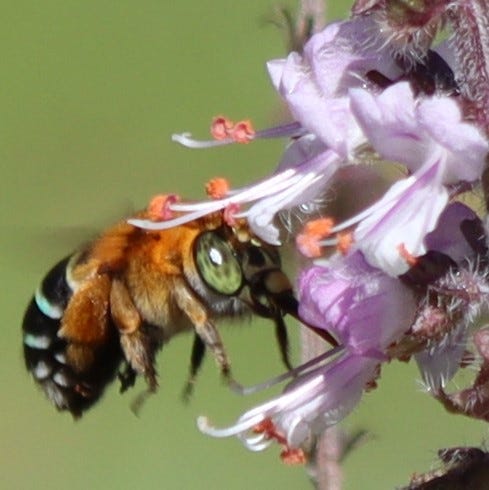 Photo Story: A Week of Australian&nbsp;Nature