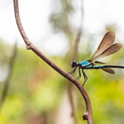 One Simple Habit Helped My Nature&nbsp;Photography