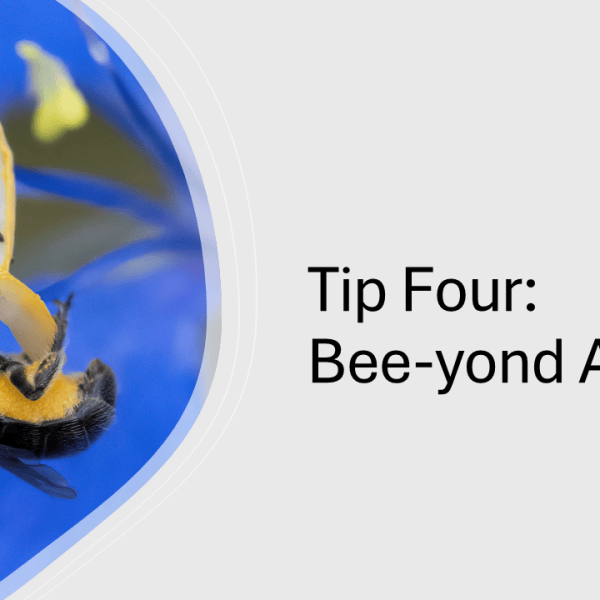 Five Tips for Un-bee-lievable Photos – Tip&nbsp;Four